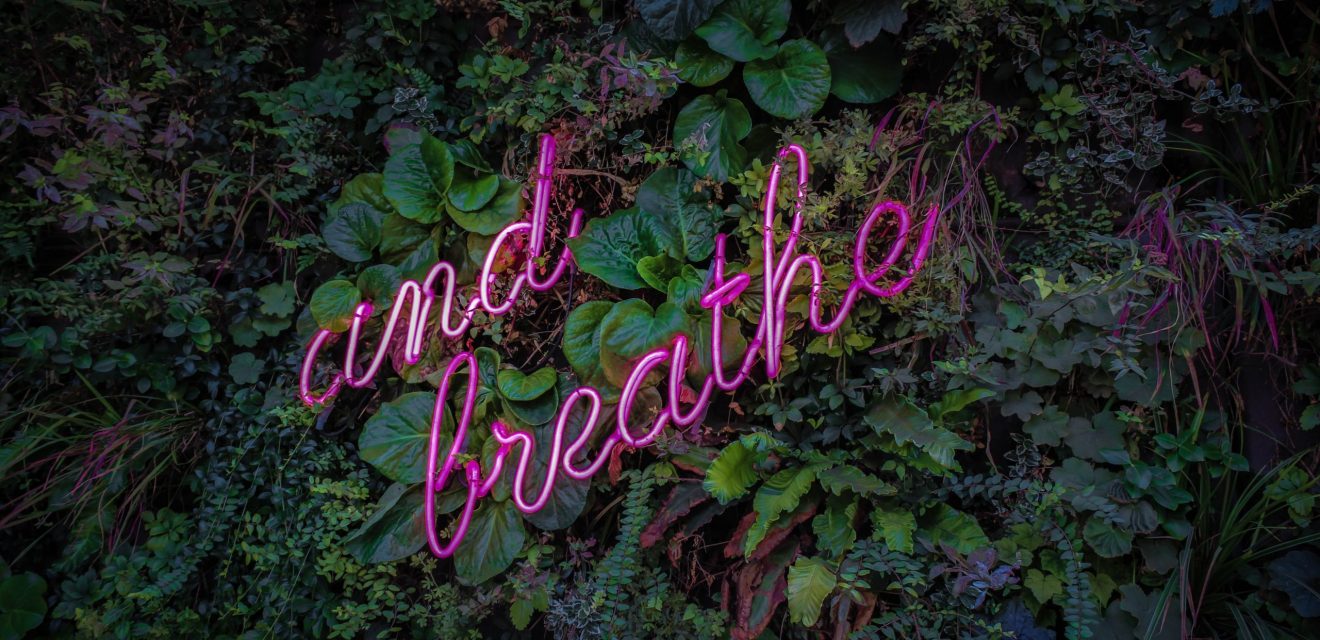 transformational breath